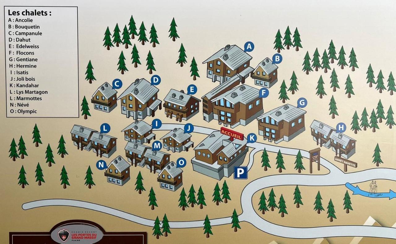 Residence Dormio Resort Les Portes Du Grand Massif - פליין מראה חיצוני תמונה
